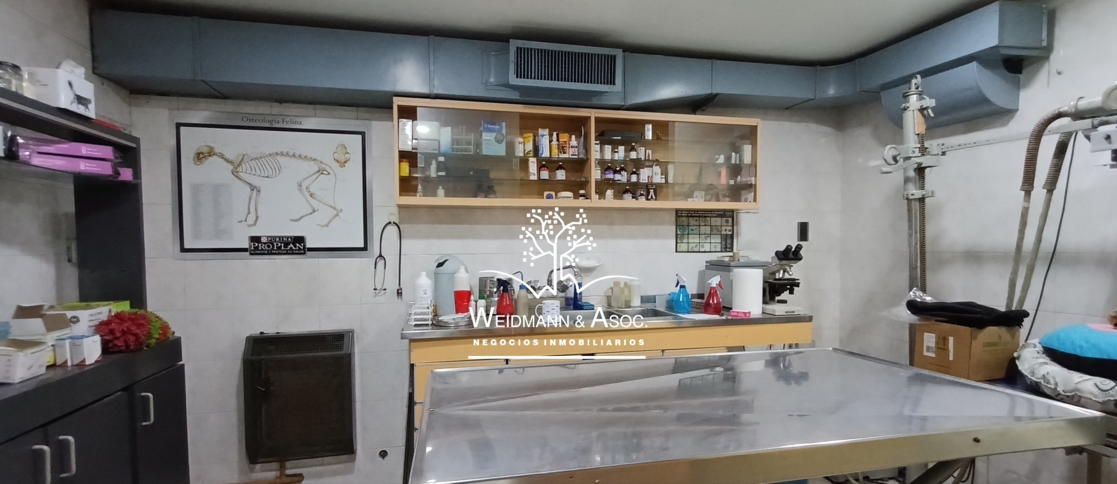 Fondo de comercio en venta, Veterinaria zona comercial de Aristobulo del Valle. Ciudad de Santa Fe