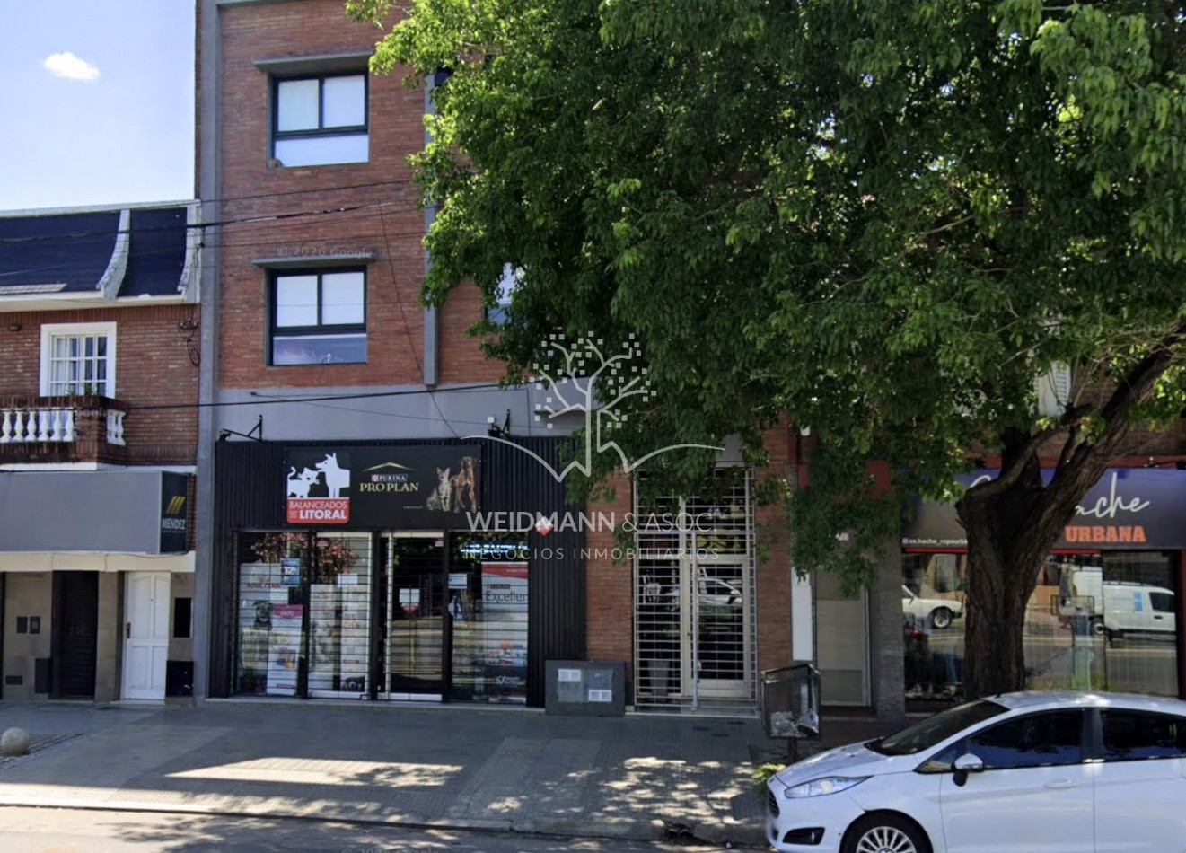 Fondo de comercio "Balanceados del Litoral"-Petshop en venta, Santa Fe